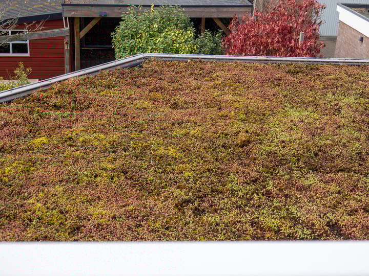 Photo 22 of Westerweg 344