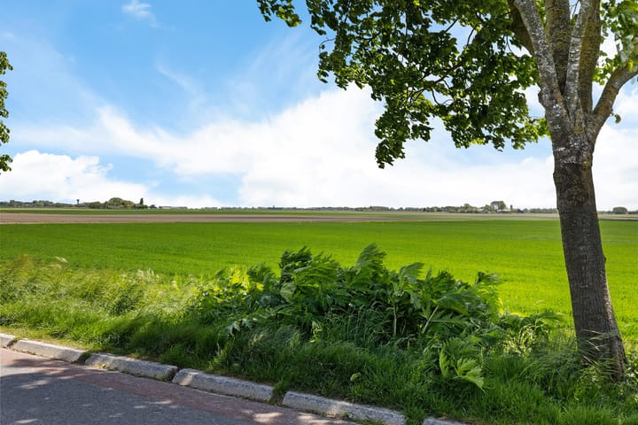 Foto 47 van Oudebildtdijk 1206