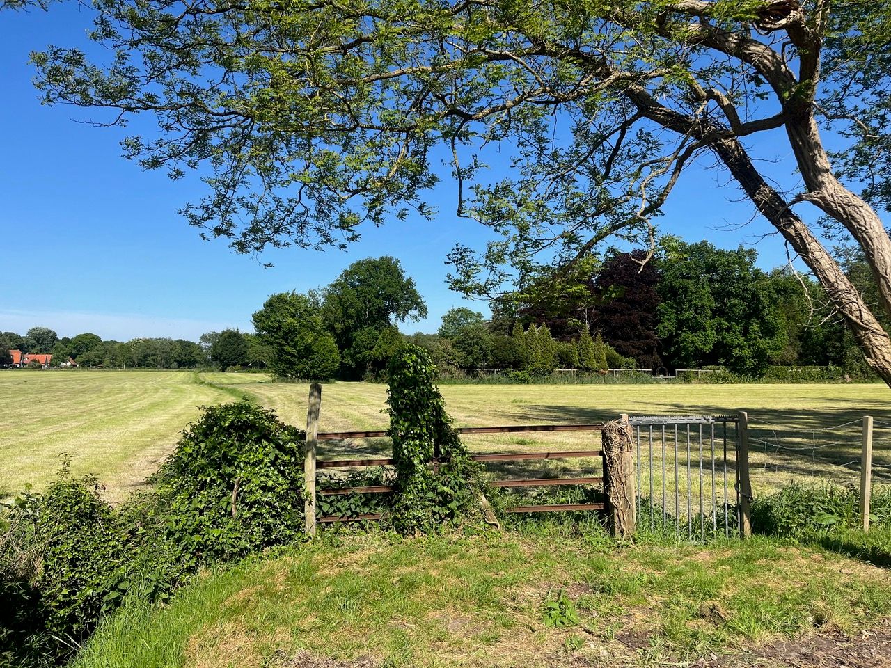 Photo 3 of Duinweg 21-A