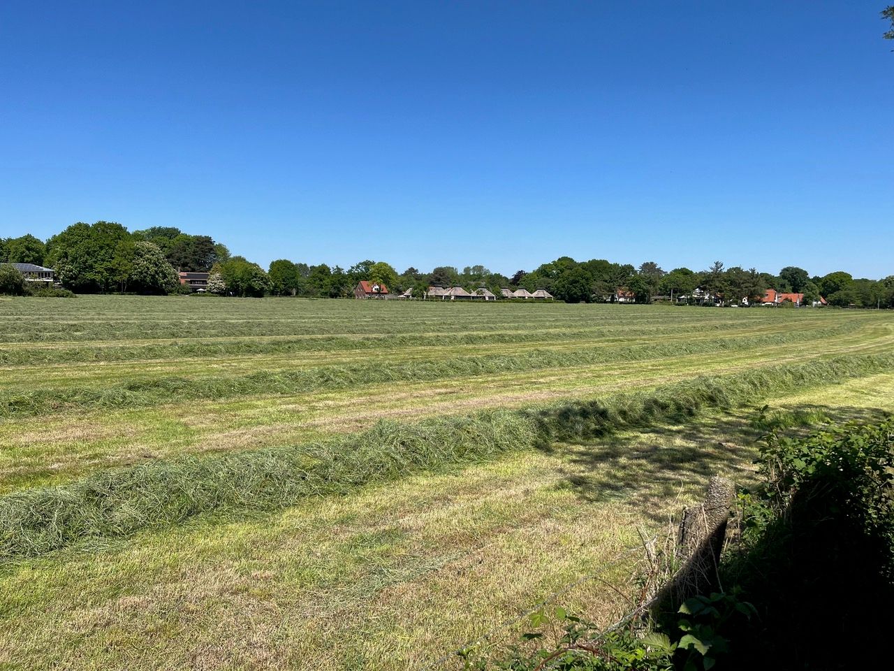 Photo 9 of Duinweg 21-A