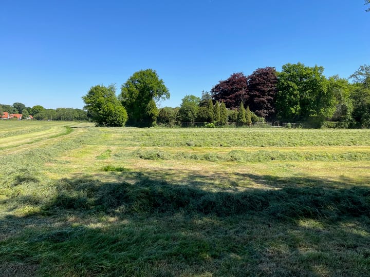 Foto 10 van Duinweg 21-A