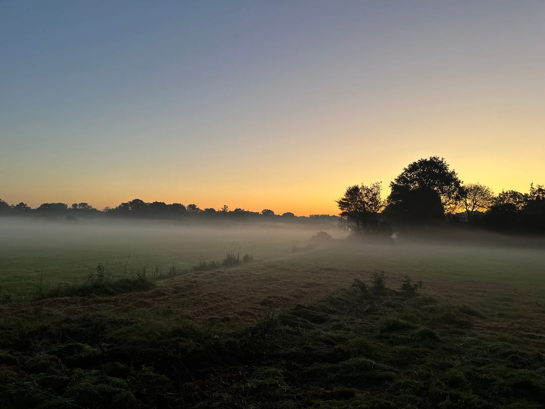 Photo 38 of Duinweg 21-A