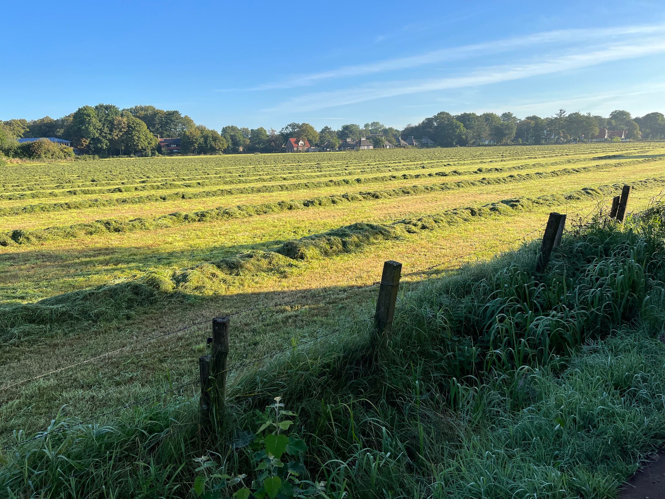 Photo 48 of Duinweg 21-A