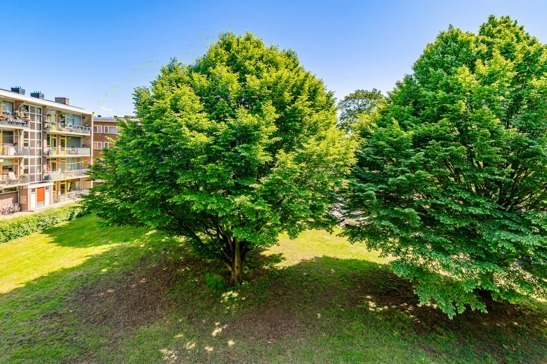 Foto 41 van van Markenplantsoen 134