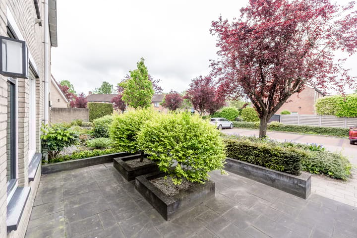 Foto 5 van Ruysdaellaan 88