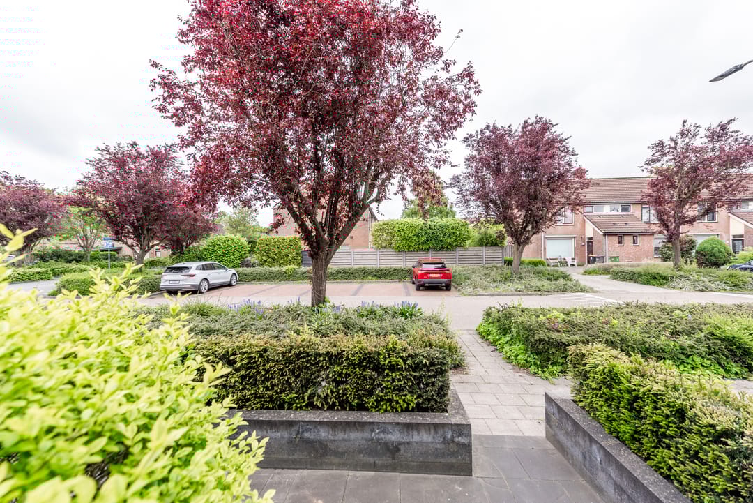 Foto 7 van Ruysdaellaan 88