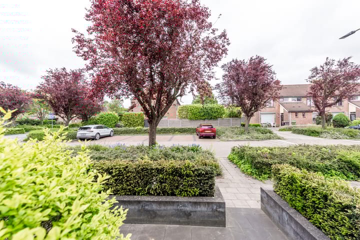 Foto 7 van Ruysdaellaan 88