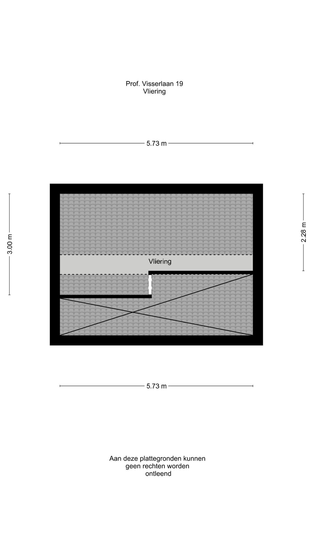Photo 40 of Prof. Visserlaan 19
