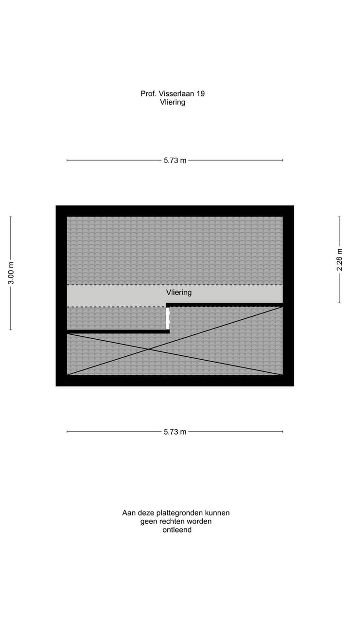 Foto 40 van Prof. Visserlaan 19