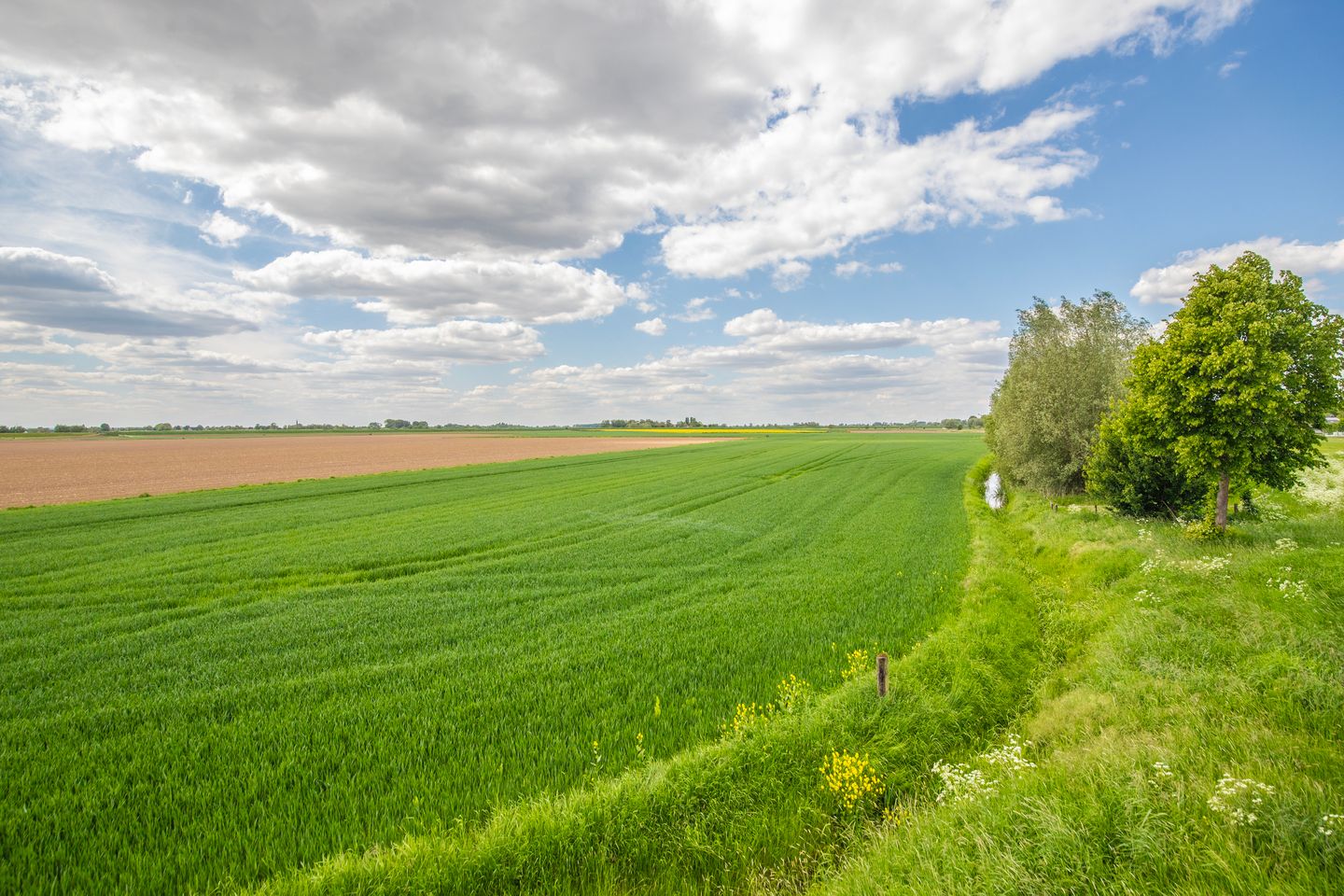 Foto 35 van Witte Kruis 121