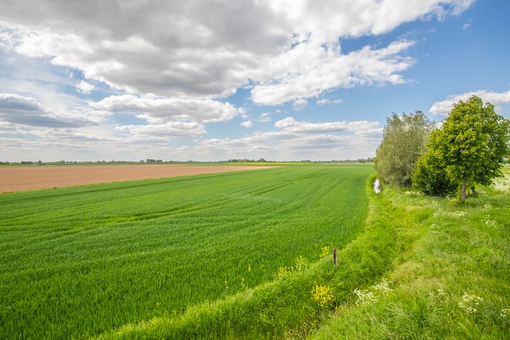 Foto 35 van Witte Kruis 121