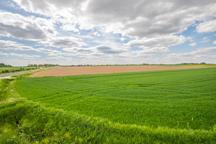 Foto 36 van Witte Kruis 121