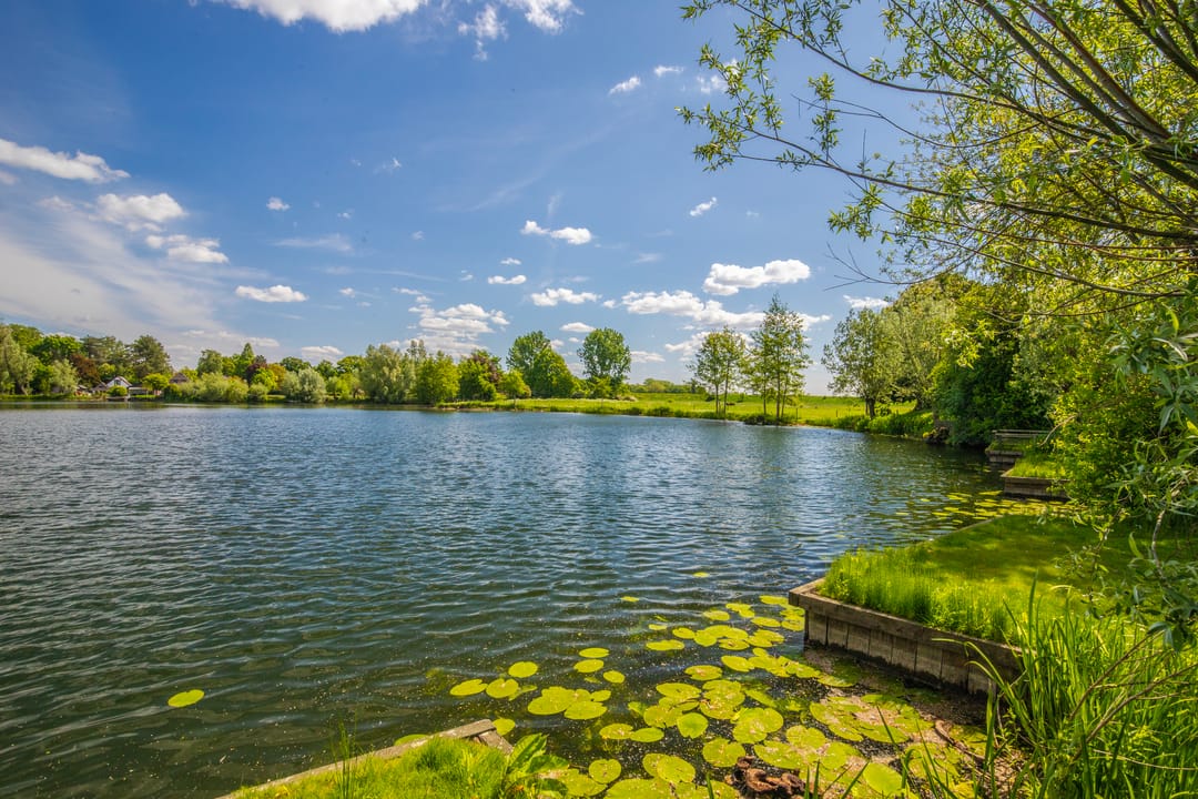 Foto 38 van Witte Kruis 121