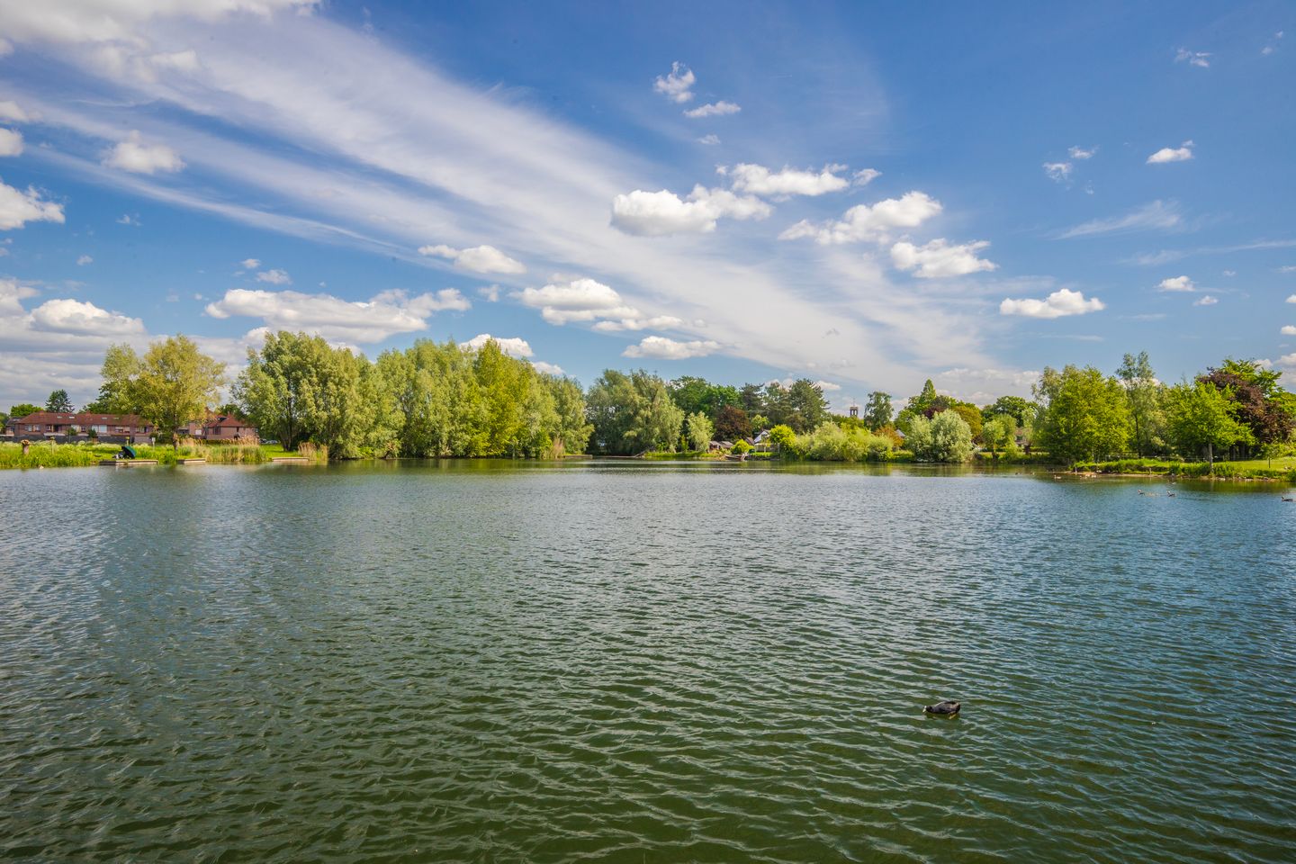 Foto 40 van Witte Kruis 121