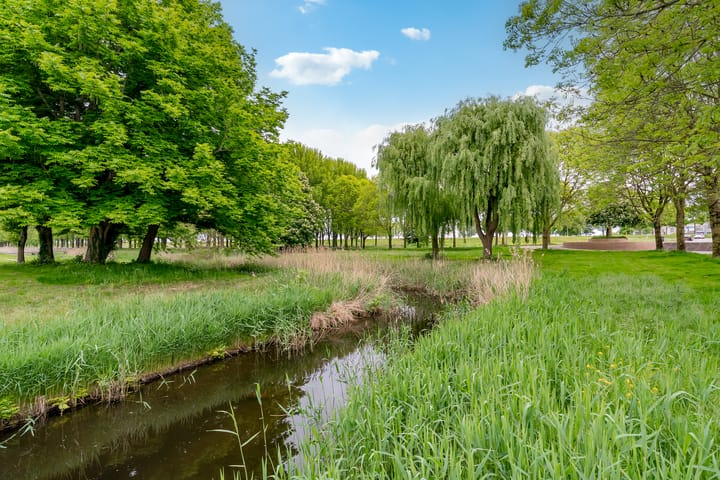 Photo 45 of Oostergo 36