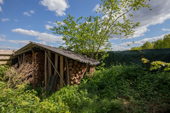 Foto 27 van Noorderweg 2