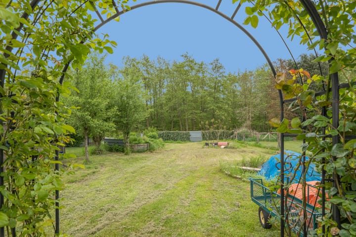 Photo 37 of Tramwijk ZZ 59