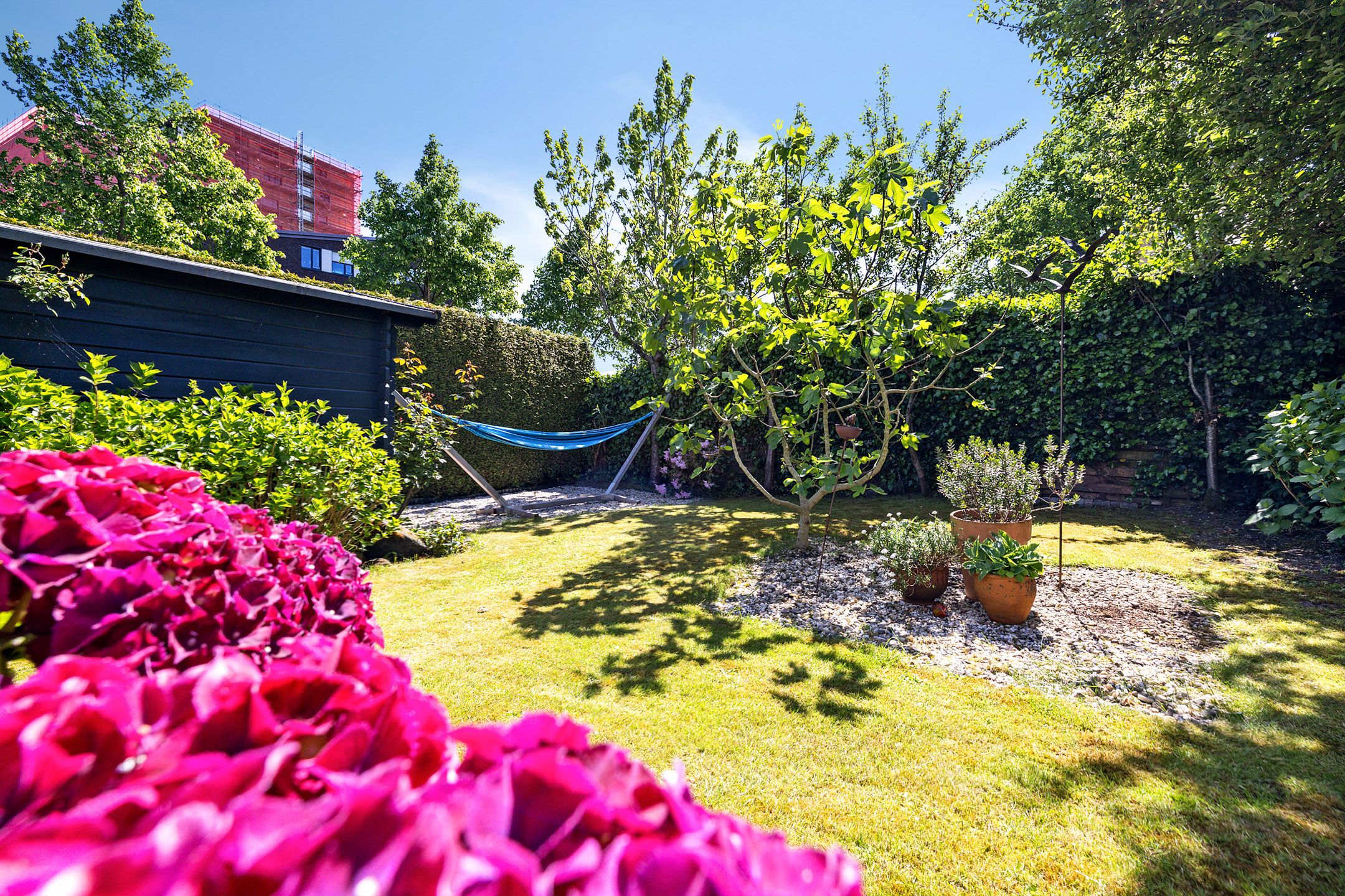 Photo 3 of Nieuwburen 84