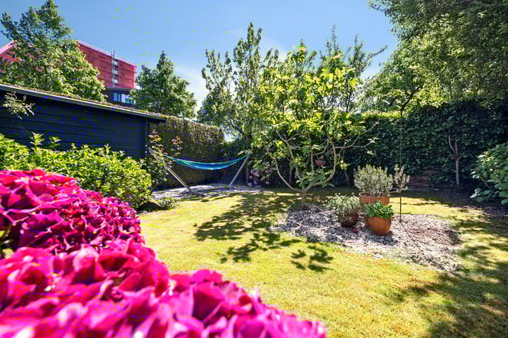 Foto 3 van Nieuwburen 84