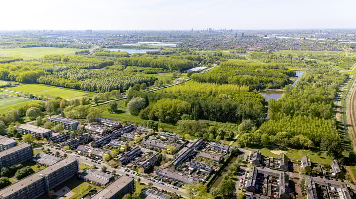 Foto 20 van Rommesingel 47