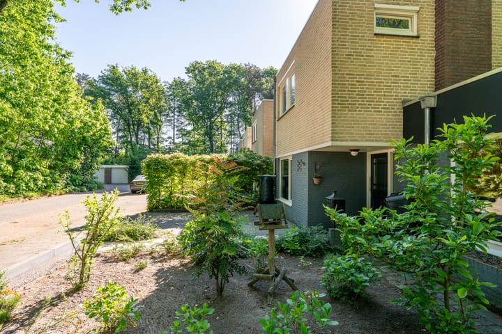 Foto 45 van Texellaan 2