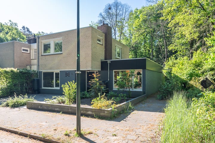 Foto 48 van Texellaan 2