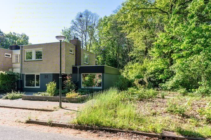 Foto 49 van Texellaan 2