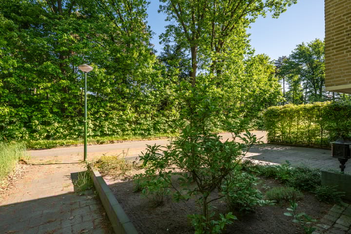 Foto 50 van Texellaan 2