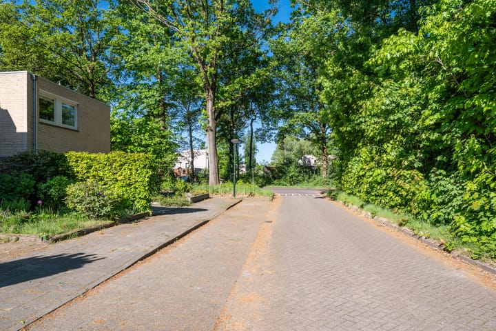 Foto 51 van Texellaan 2