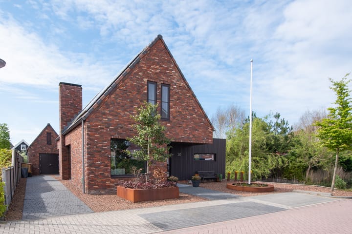 Foto 1 van Krokus 30