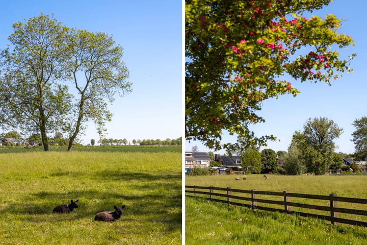 Foto 48 van Menno van Coehoornwei 20