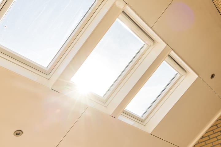 Foto 20 van Paddenburg 4