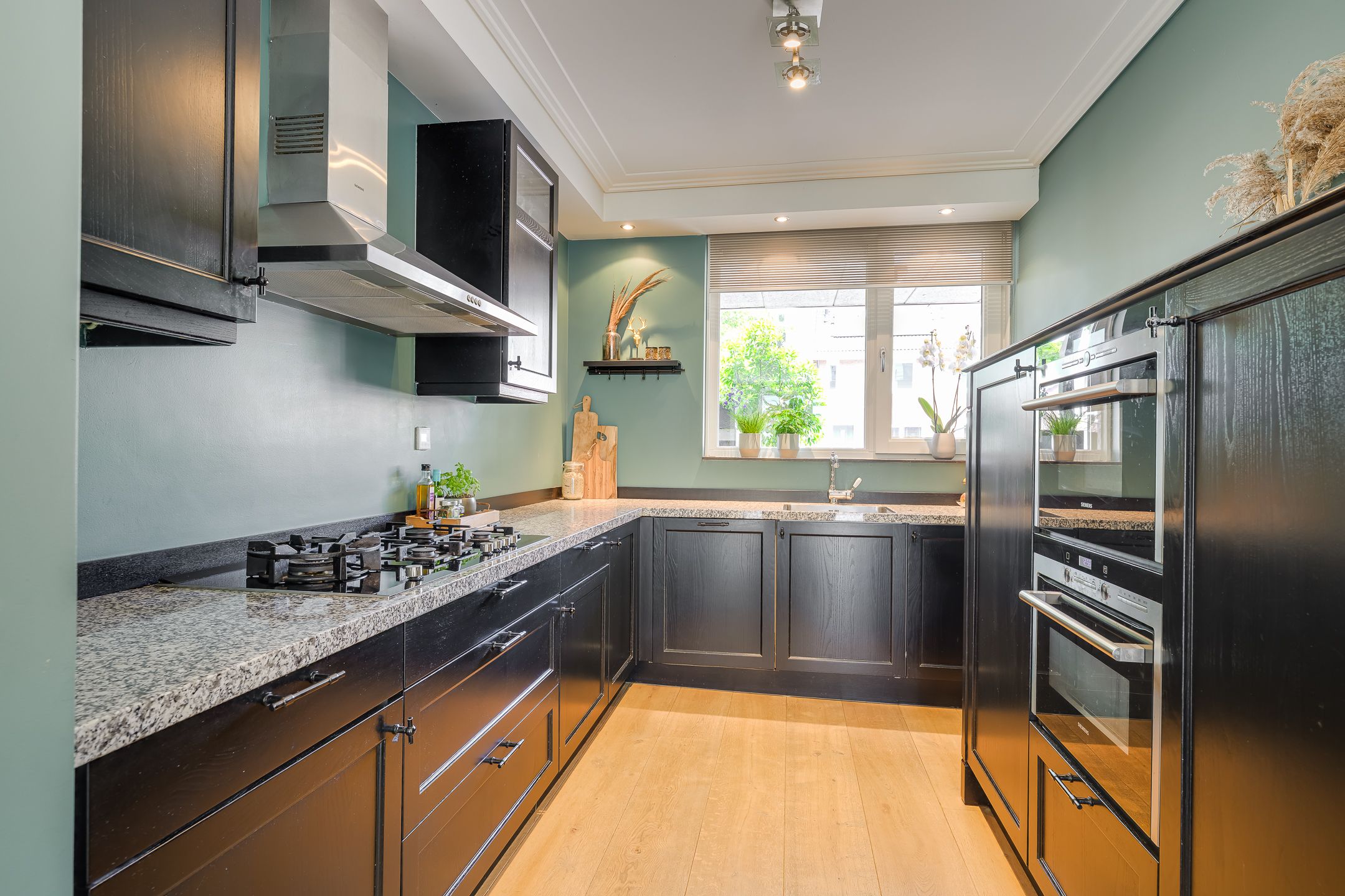 Foto 6 van Atlantische Oceaan 38