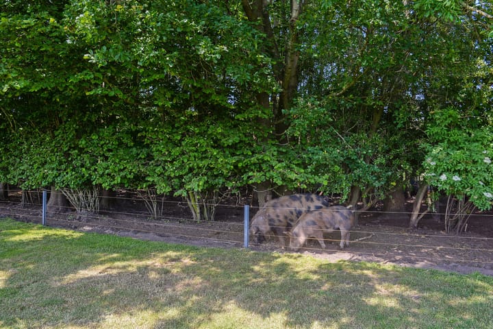 Foto 50 van Zuiderdiep 309