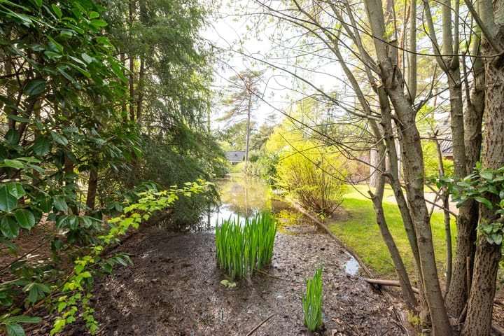 Foto 5 van Hoge Bergweg 16-H76