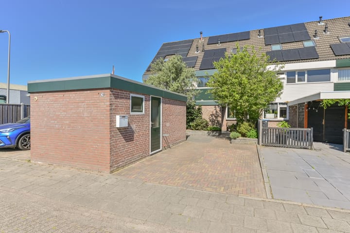 Foto 1 van Penningkruid 39