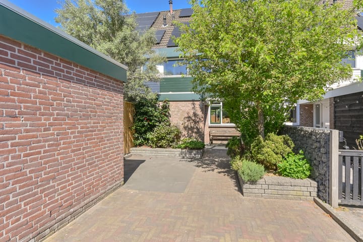 Foto 6 van Penningkruid 39