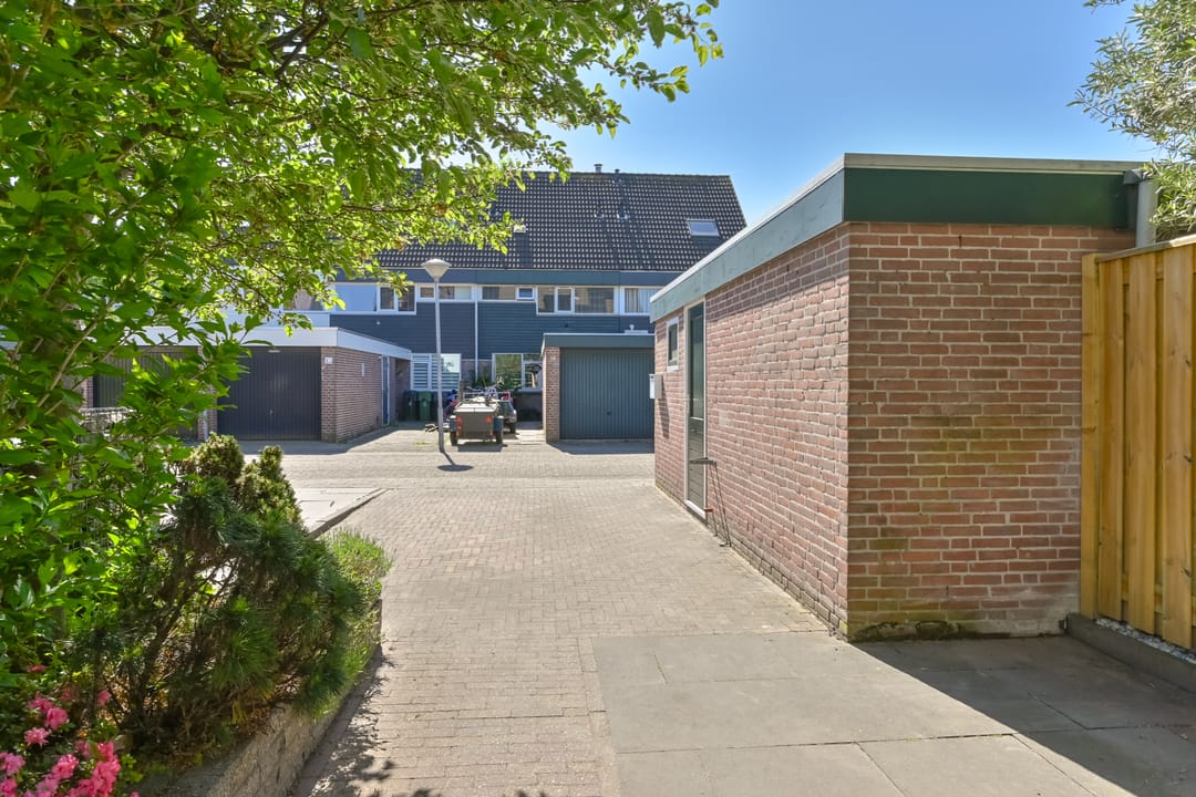 Foto 7 van Penningkruid 39