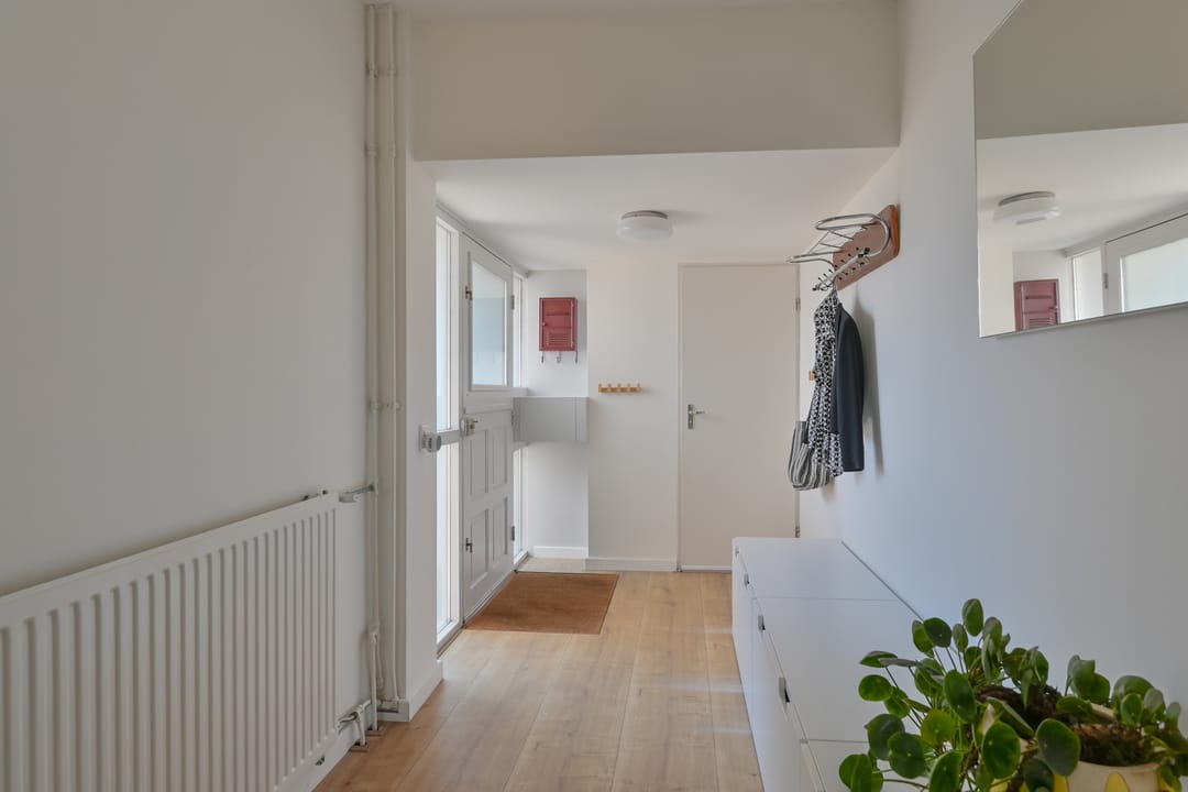 Foto 8 van Penningkruid 39