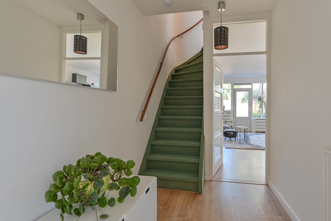 Foto 11 van Penningkruid 39