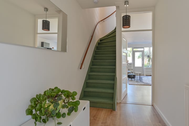 Foto 11 van Penningkruid 39