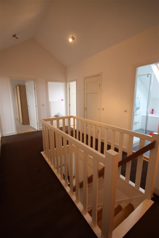 Foto 17 van De Savornin Lohmanlaan 260