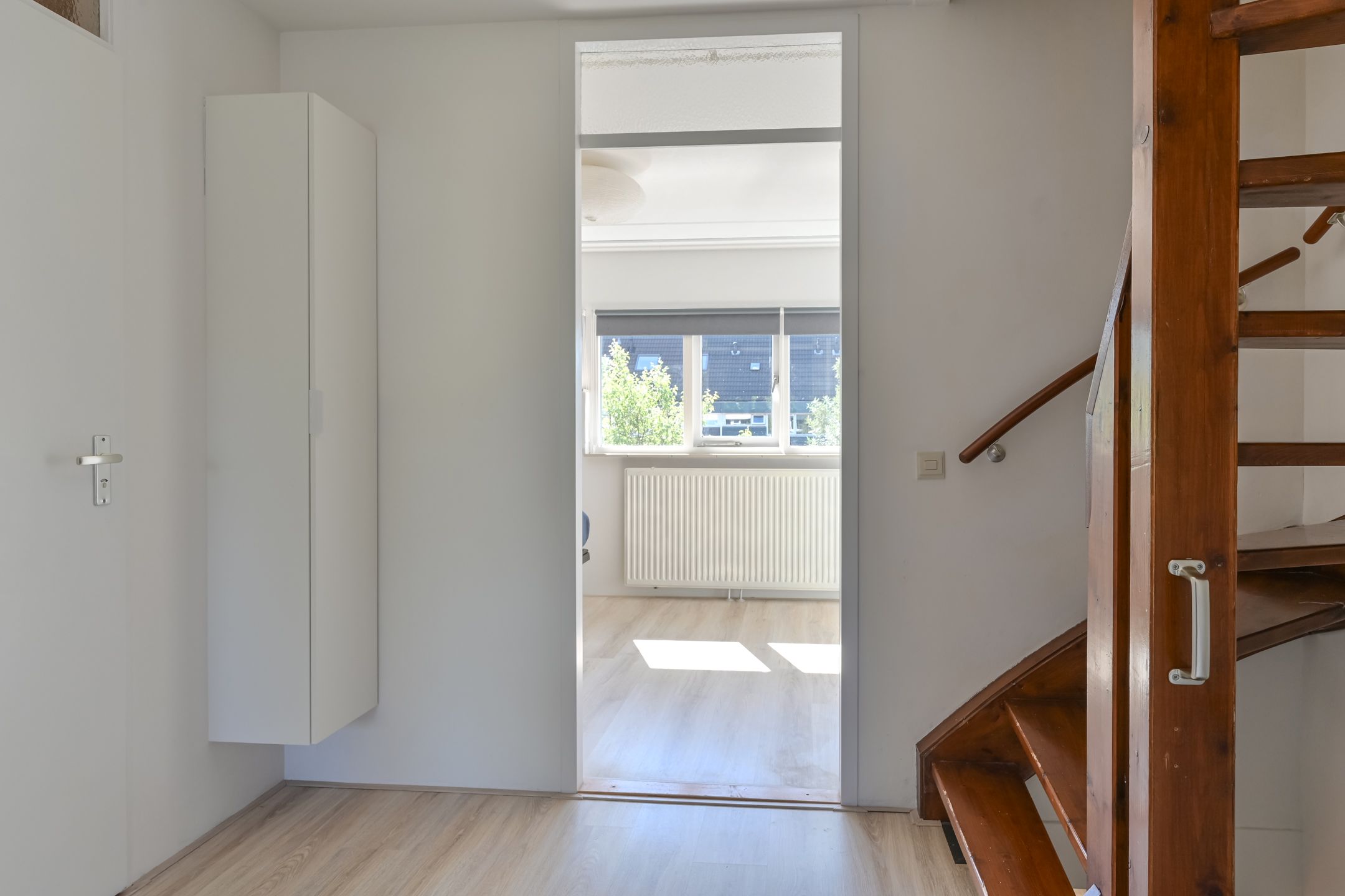 Foto 24 van Penningkruid 39