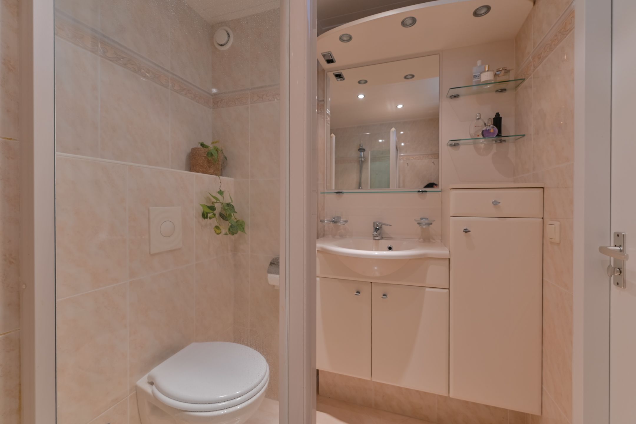 Foto 30 van Penningkruid 39