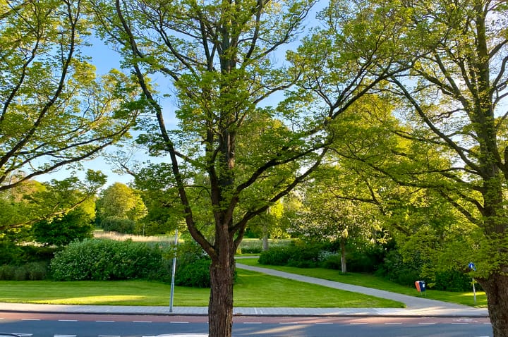 Foto 34 van Timorlaan 23