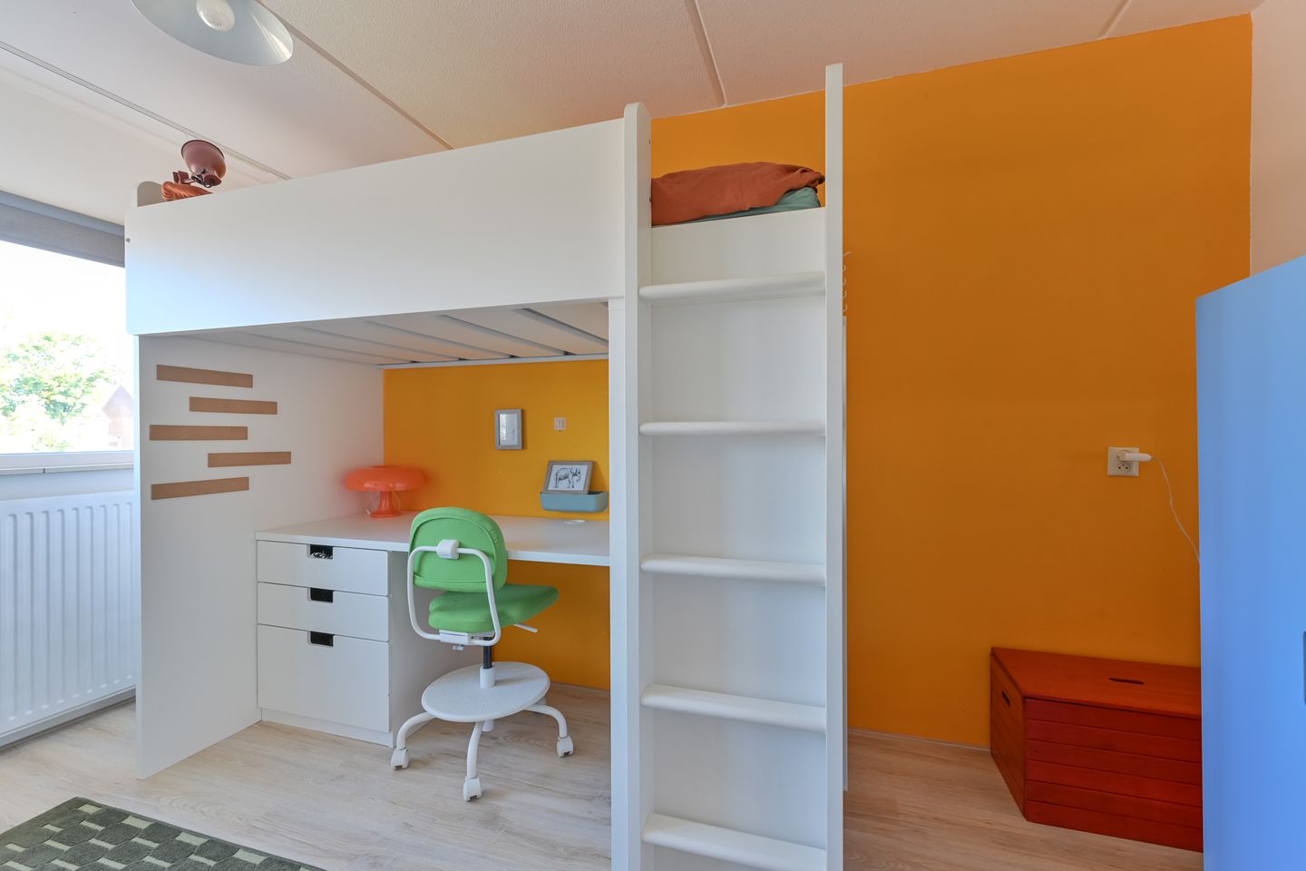 Foto 35 van Penningkruid 39