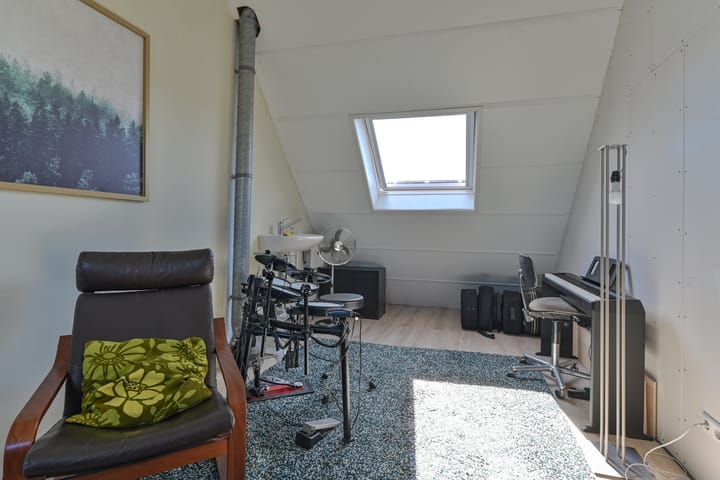 Foto 37 van Penningkruid 39