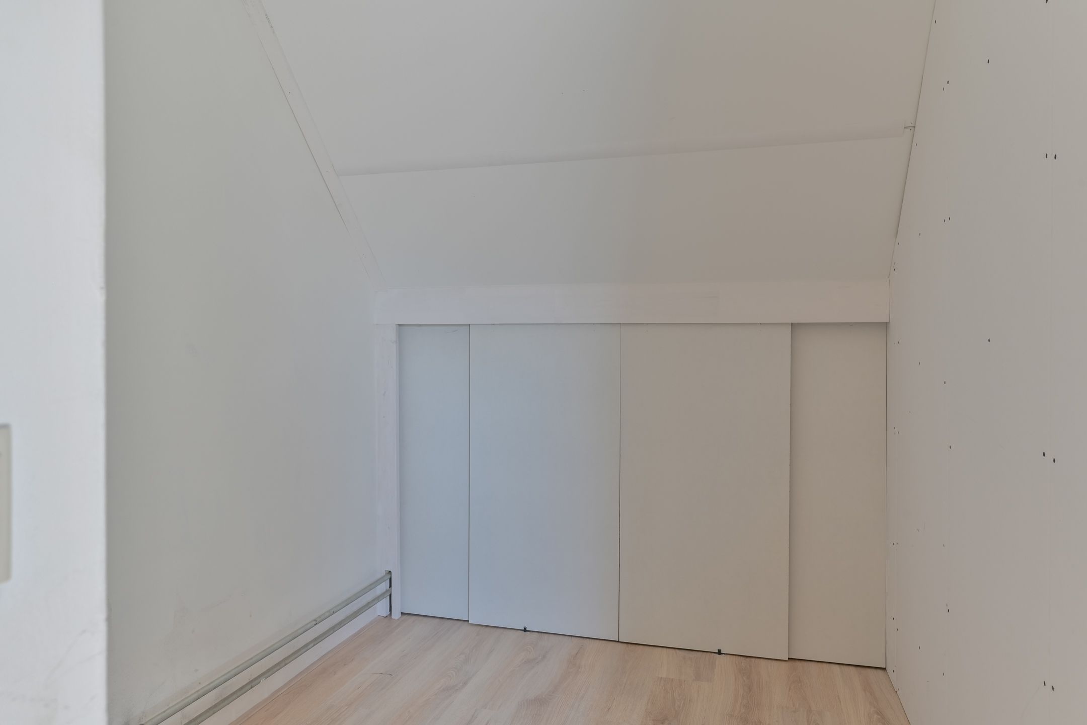 Foto 39 van Penningkruid 39