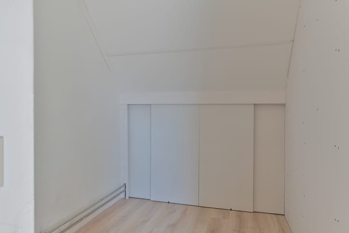 Foto 39 van Penningkruid 39