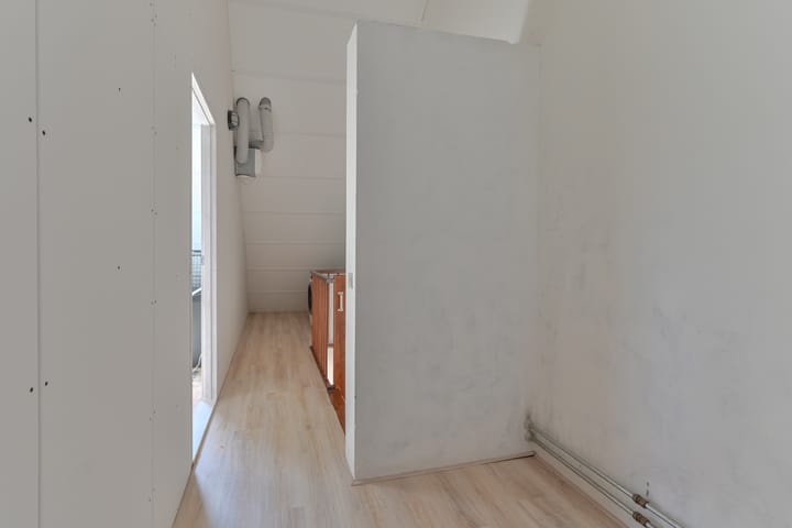 Foto 40 van Penningkruid 39